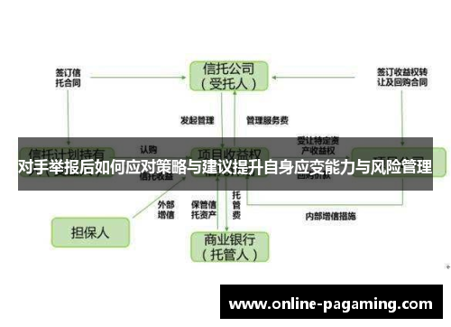 对手举报后如何应对策略与建议提升自身应变能力与风险管理