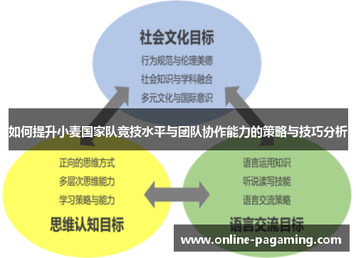 如何提升小麦国家队竞技水平与团队协作能力的策略与技巧分析