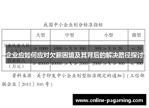 企业应如何应对欠薪困境及其背后的解决路径探讨