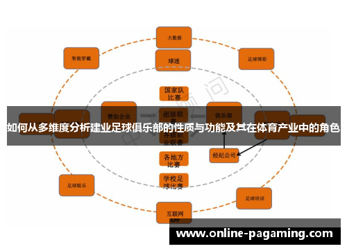 如何从多维度分析建业足球俱乐部的性质与功能及其在体育产业中的角色 如何从多维度分析建业足球俱乐部的性质与功能及其在体育产业中的角色