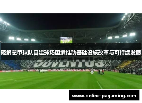 破解意甲球队自建球场困境推动基础设施改革与可持续发展 破解意甲球队自建球场困境推动基础设施改革与可持续发展