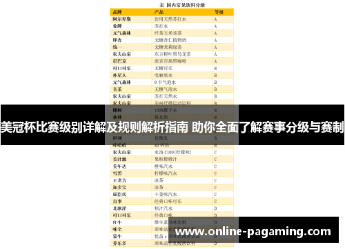 美冠杯比赛级别详解及规则解析指南 助你全面了解赛事分级与赛制