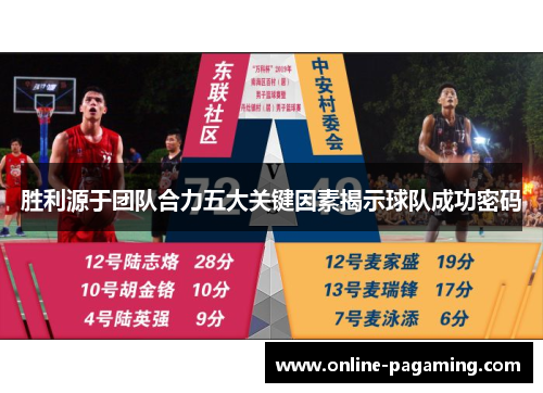 胜利源于团队合力五大关键因素揭示球队成功密码 胜利源于团队合力五大关键因素揭示球队成功密码