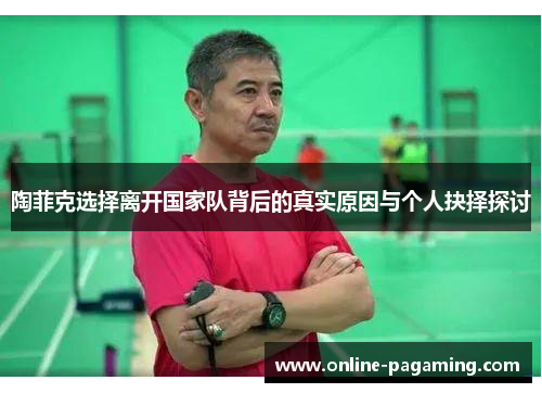 陶菲克选择离开国家队背后的真实原因与个人抉择探讨