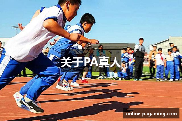 关于PA真人